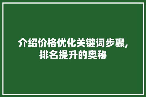 介绍价格优化关键词步骤,排名提升的奥秘