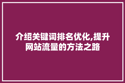 介绍关键词排名优化,提升网站流量的方法之路 编程语言