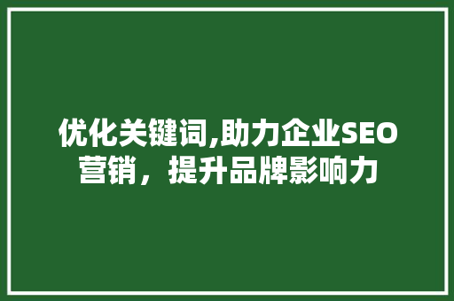 优化关键词,助力企业SEO营销，提升品牌影响力
