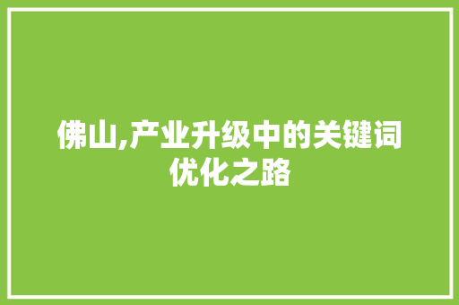 佛山,产业升级中的关键词优化之路 佛山,产业升级中的关键词优化之路