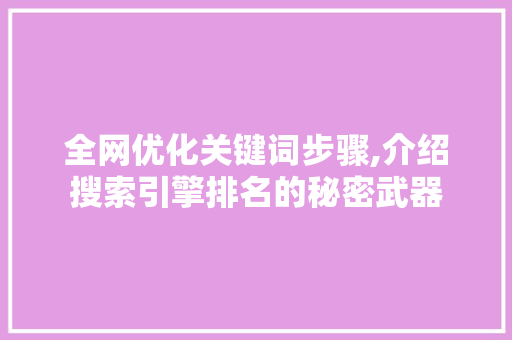 全网优化关键词步骤,介绍搜索引擎排名的秘密武器