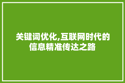 关键词优化,互联网时代的信息精准传达之路