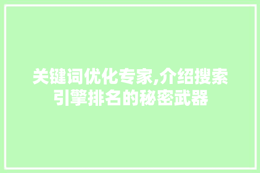 关键词优化专家,介绍搜索引擎排名的秘密武器