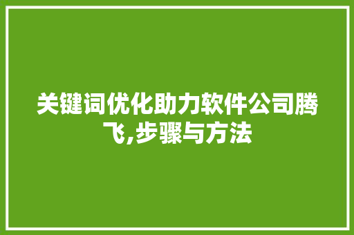 关键词优化助力软件公司腾飞,步骤与方法