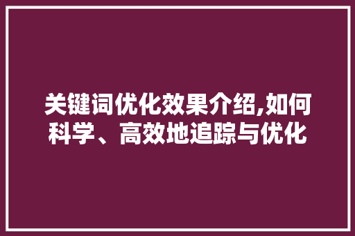 关键词优化效果介绍,如何科学、高效地追踪与优化