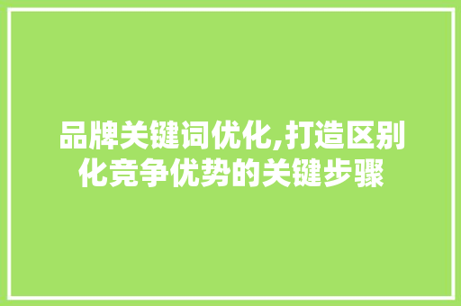 品牌关键词优化,打造区别化竞争优势的关键步骤