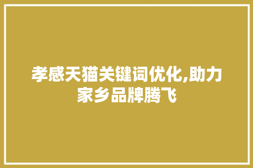 孝感天猫关键词优化,助力家乡品牌腾飞 网络技术 孝感天猫关键词优化,助力家乡品牌腾飞 网络技术