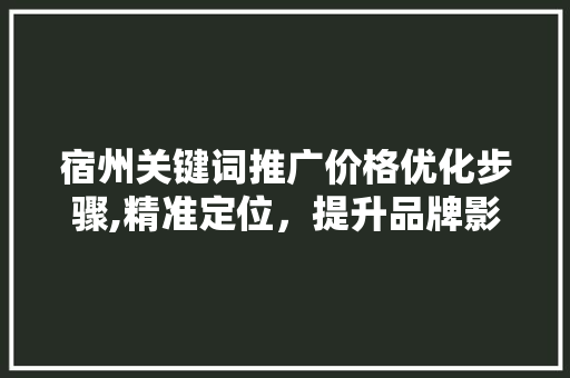 宿州关键词推广价格优化步骤,精准定位，提升品牌影响力