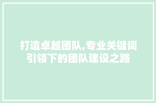 打造卓越团队,专业关键词引领下的团队建设之路