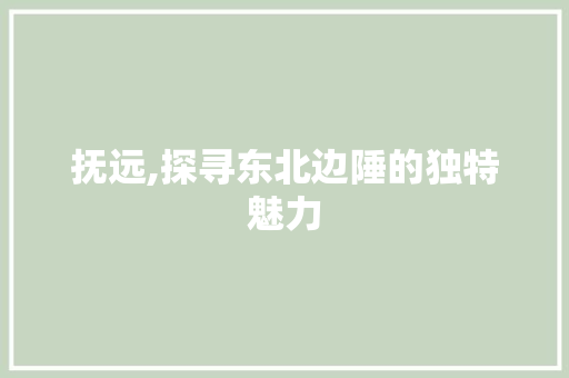 抚远,探寻东北边陲的独特魅力