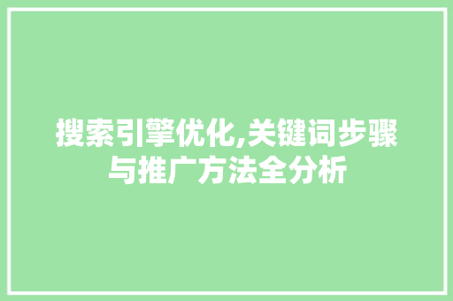 搜索引擎优化,关键词步骤与推广方法全分析