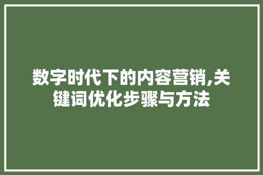 数字时代下的内容营销,关键词优化步骤与方法
