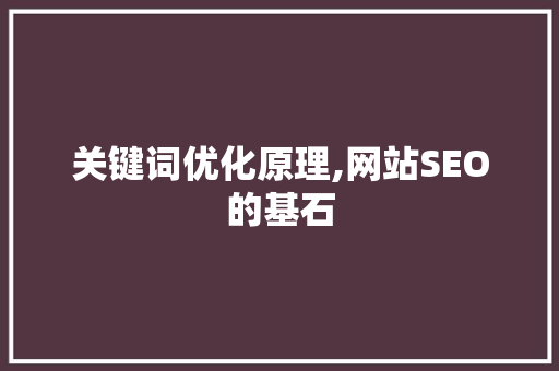 关键词优化原理,网站SEO的基石