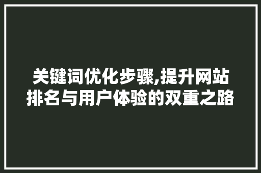 关键词优化步骤,提升网站排名与用户体验的双重之路