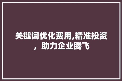 关键词优化费用,精准投资，助力企业腾飞