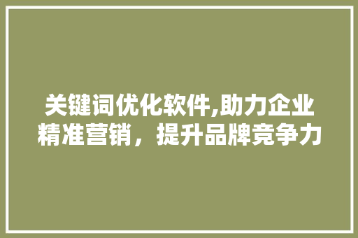 关键词优化软件,助力企业精准营销，提升品牌竞争力