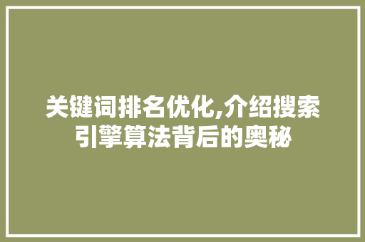 关键词排名优化,介绍搜索引擎算法背后的奥秘