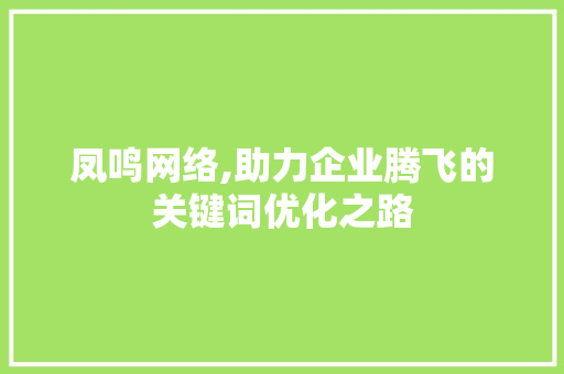 凤鸣网络,助力企业腾飞的关键词优化之路