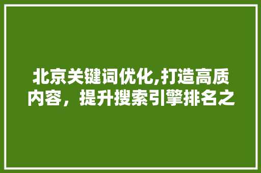 北京关键词优化,打造高质内容，提升搜索引擎排名之路
