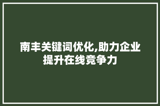 南丰关键词优化,助力企业提升在线竞争力