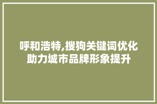 呼和浩特,搜狗关键词优化助力城市品牌形象提升