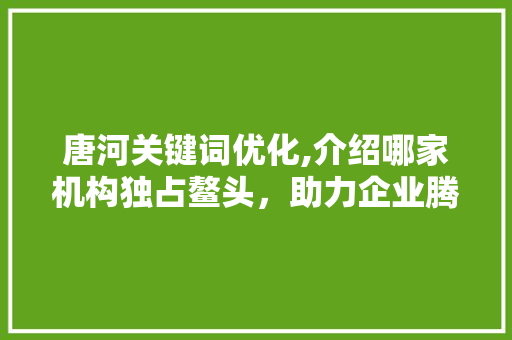 唐河关键词优化,介绍哪家机构独占鳌头，助力企业腾飞
