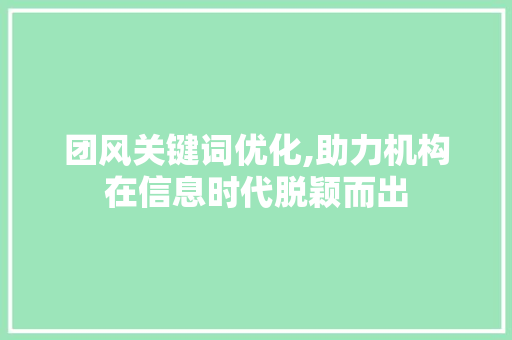 团风关键词优化,助力机构在信息时代脱颖而出