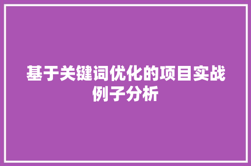 基于关键词优化的项目实战例子分析