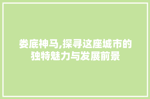 娄底神马,探寻这座城市的独特魅力与发展前景