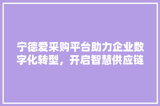 宁德爱采购平台助力企业数字化转型，开启智慧供应链新篇章