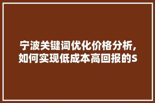 宁波关键词优化价格分析,如何实现低成本高回报的SEO步骤