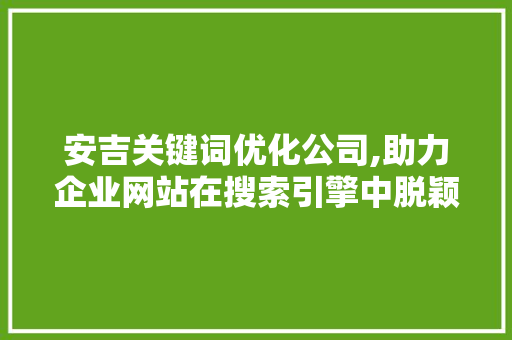 安吉关键词优化公司,助力企业网站在搜索引擎中脱颖而出