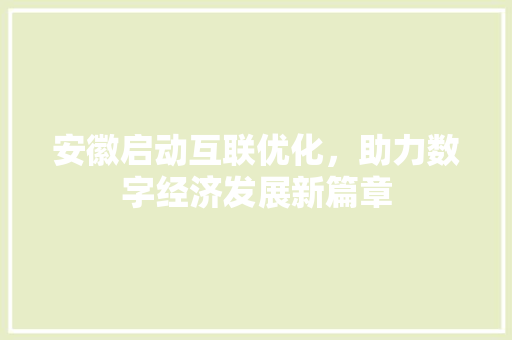 安徽启动互联优化，助力数字经济发展新篇章