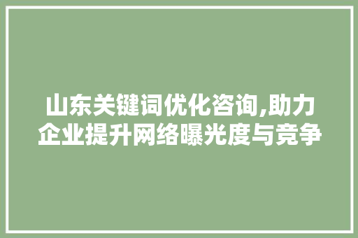 山东关键词优化咨询,助力企业提升网络曝光度与竞争力