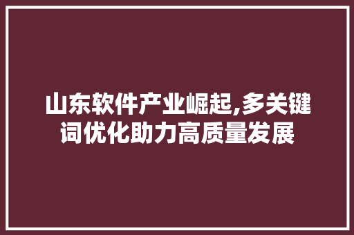 山东软件产业崛起,多关键词优化助力高质量发展