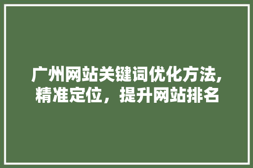 广州网站关键词优化方法,精准定位，提升网站排名