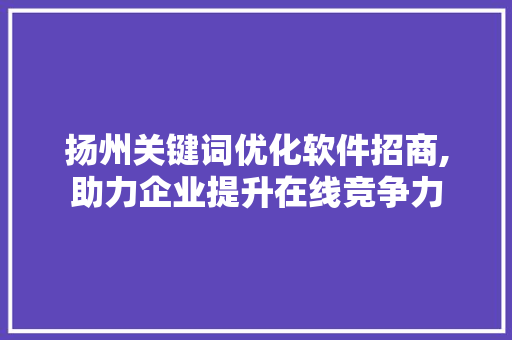 扬州关键词优化软件招商,助力企业提升在线竞争力