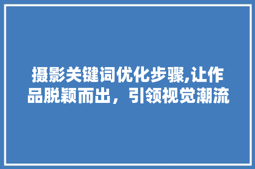 摄影关键词优化步骤,让作品脱颖而出，引领视觉潮流