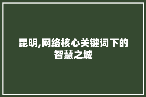 昆明,网络核心关键词下的智慧之城