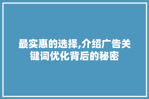 最实惠的选择,介绍广告关键词优化背后的秘密