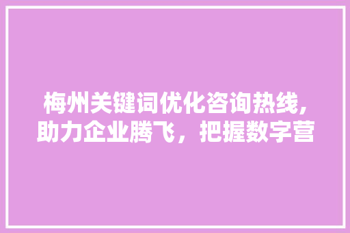 梅州关键词优化咨询热线,助力企业腾飞，把握数字营销新机遇