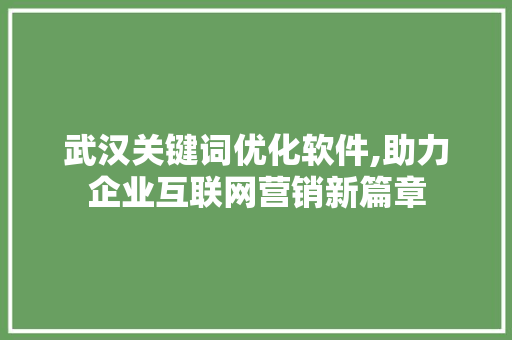 武汉关键词优化软件,助力企业互联网营销新篇章