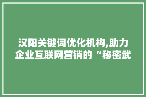 汉阳关键词优化机构,助力企业互联网营销的“秘密武器”
