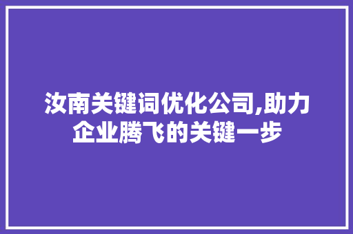 汝南关键词优化公司,助力企业腾飞的关键一步