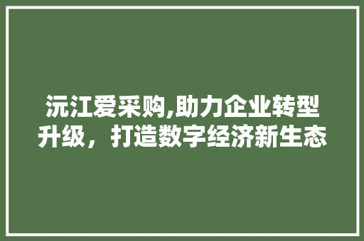 沅江爱采购,助力企业转型升级，打造数字经济新生态