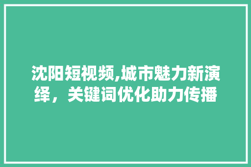 沈阳短视频,城市魅力新演绎，关键词优化助力传播