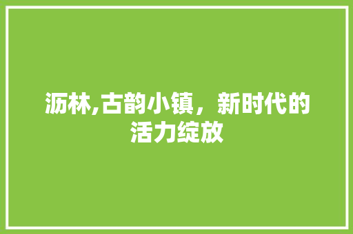 沥林,古韵小镇，新时代的活力绽放