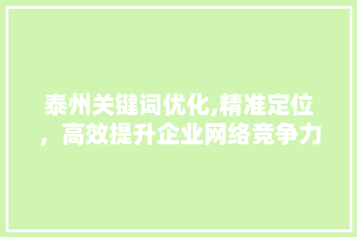 泰州关键词优化,精准定位，高效提升企业网络竞争力