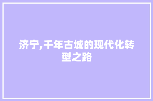 济宁,千年古城的现代化转型之路