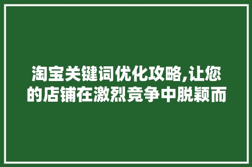 淘宝关键词优化攻略,让您的店铺在激烈竞争中脱颖而出